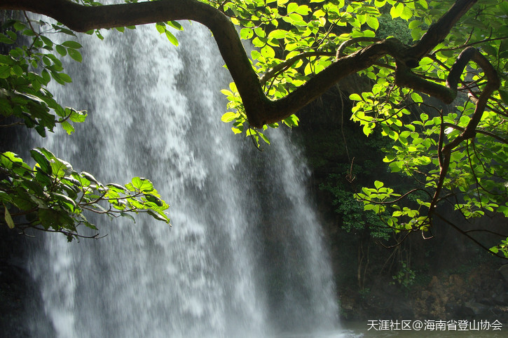 [召集]7月30日户外基础技能体验活动等你约