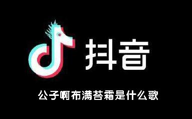 公子啊抖音那个什么歌，明月…公子啊什么歌,本文共（1299字）