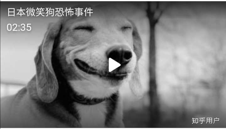 微笑狗吓人图片
