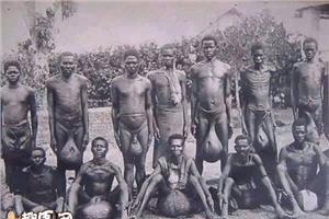 象牙族人图片