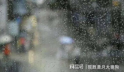 夏雨童，田雨橙和张悦轩,本文共（3045字）