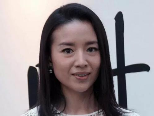 董洁离婚了吗，董洁因为什么离的婚(佟晨洁离婚了吗)