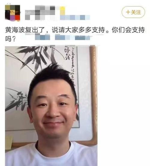 黄海波事件，吴秀波现状(黄海波风波)