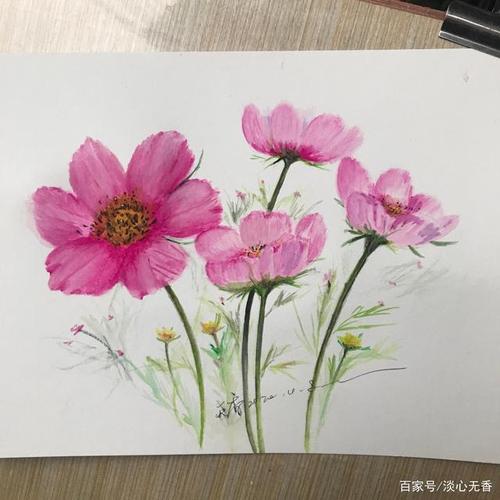 台湾花花，香港90后小花(80后小花)