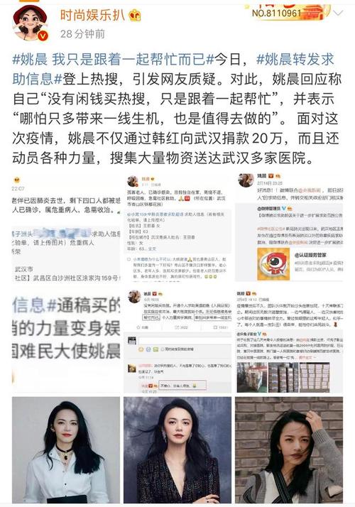 姚晨发文辟谣捐钱，姚晨接收难民事(姚晨支持难民)