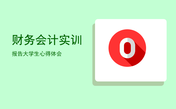 财务会计实训报告(财务会计实训报告实训步骤)