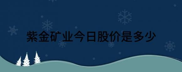 紫金矿业今日股价是多少(紫金矿矿业今日的股价)