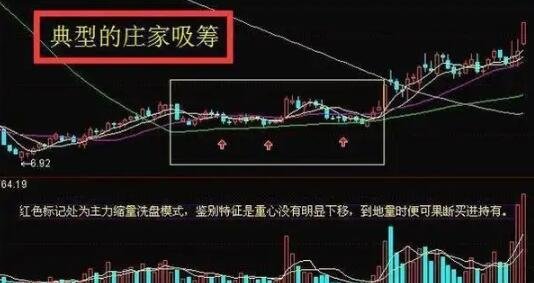 主力是什么意思(基金主力是什么意思)