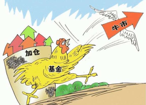 啥叫股票型基金(股票类基金是什么)