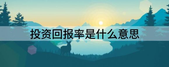 投资回报率是什么意思(投资回报率叫什么)