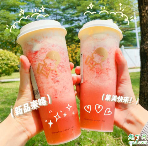 喜茶芝芝莓莓桃多少钱一杯(喜茶的芝芝莓莓多少钱)