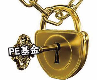 pe项目是什么意思(epc项目是什么意思)