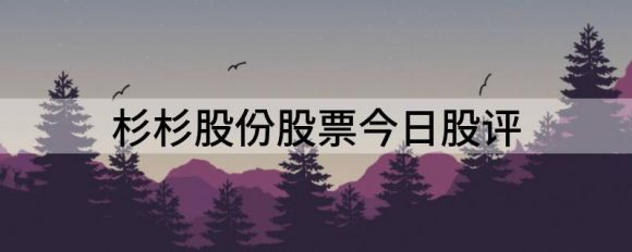 杉杉股份股票今日股评(杉杉股份评级)