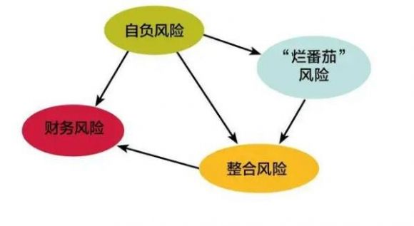 并购风险是什么意思 并购风险都存在有哪些方面老鼠