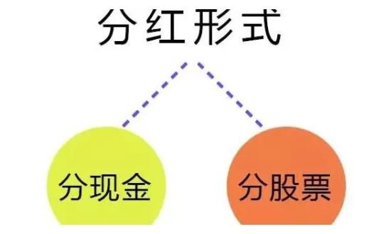 公司投资是什么意思？和个人投资有什么区别？谷主•