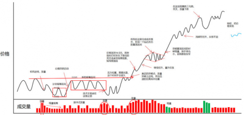 独家解密：权瀚东是如何操盘一只股票的