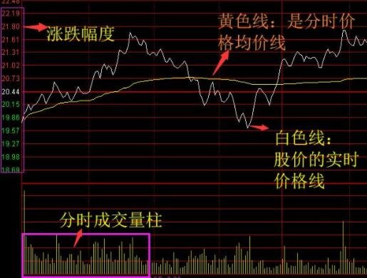 新手股票走势图怎么看(新手怎样看股票趋势线)