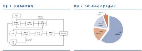 巨星转债怎么样会破发吗？113648巨星转债中签