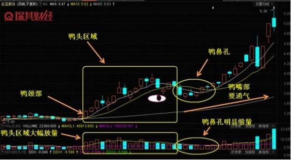 老鸭头k线法技术要点有哪些(老鸭头k线图的买入点)