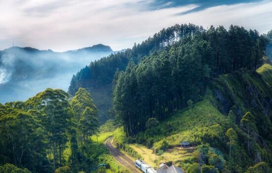 风景园林专业就业前景(风景园林专业就业前景及待遇)