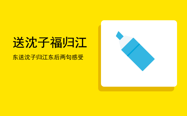 送沈子福归江东(送沈子福归江东三四句用了什么修辞手法)