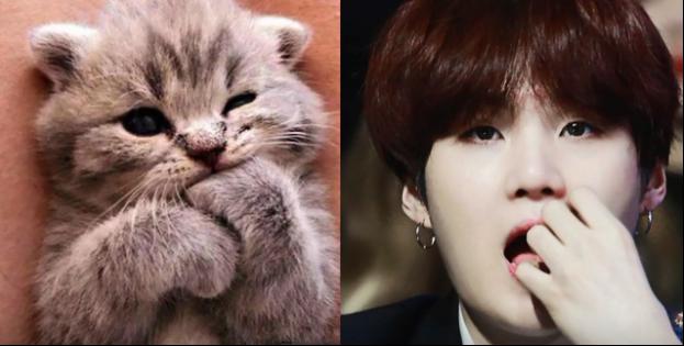 闵玧其为什么叫百万女团腿、猫猫、SUGA