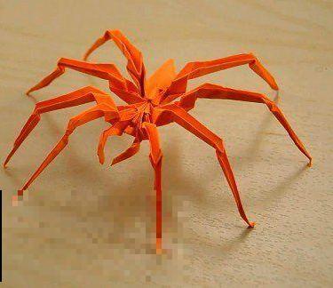 蜘蛛折纸剪纸制作方法,学习小动物折纸教程