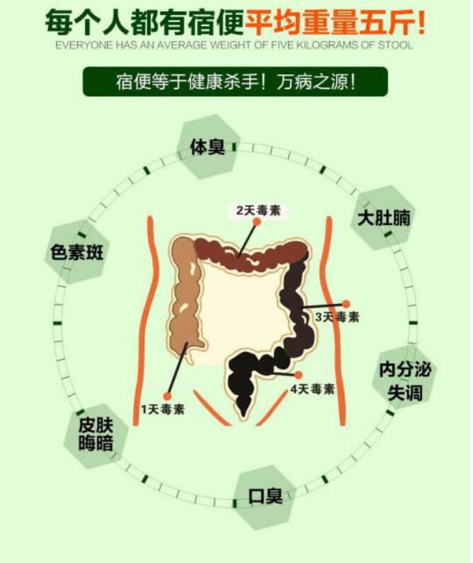 猫王体内有十五斤宿便是什么梗？宿便是什么颜色形状的　本文共（980字）