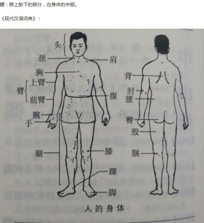 为什么老人说小孩没有腰,腰具体指的是身体的那个位置？　本文共（1268字）