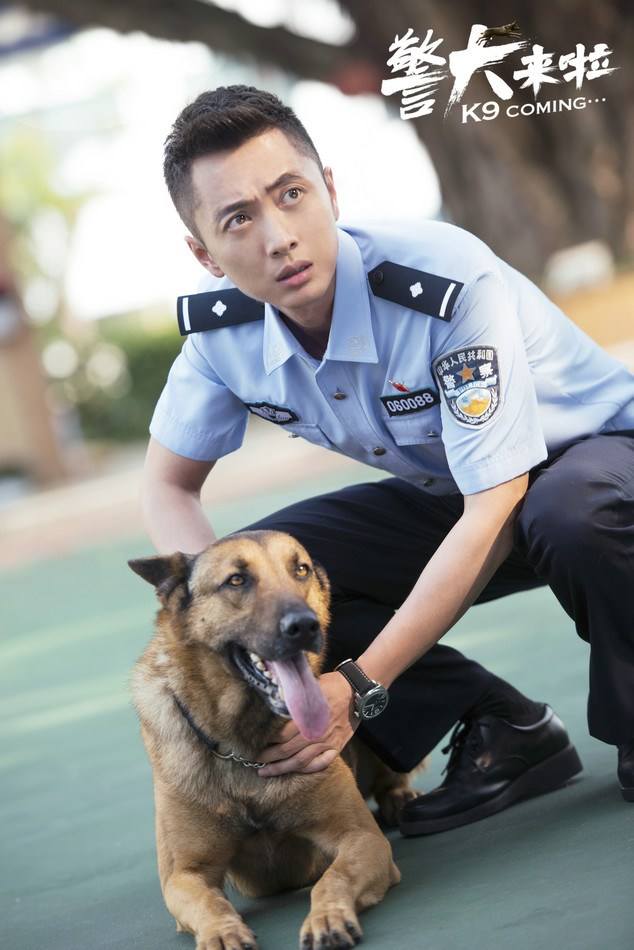 警犬来啦是什么品种的狗？警犬为什么不能交配配种　本文共（772字）