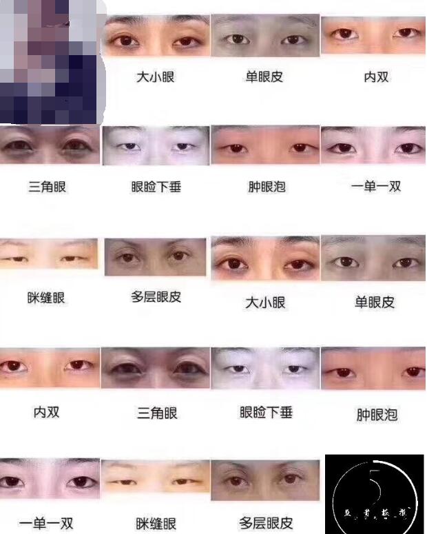 最丑的眼型是什么眼型,怎么判断自己的眼型？　本文共（933字）