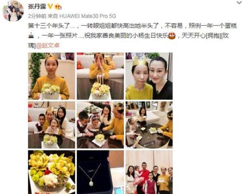 赵文卓老婆，张丹露(赵文卓老婆张丹露身高)