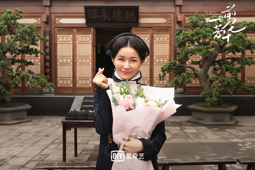 一剪芳华演员表，盖玥希主演的电视(一剪芳华女演员)