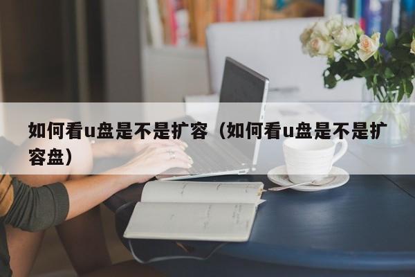 如何看u盘是不是扩容（如何看u盘是不是扩容盘） 