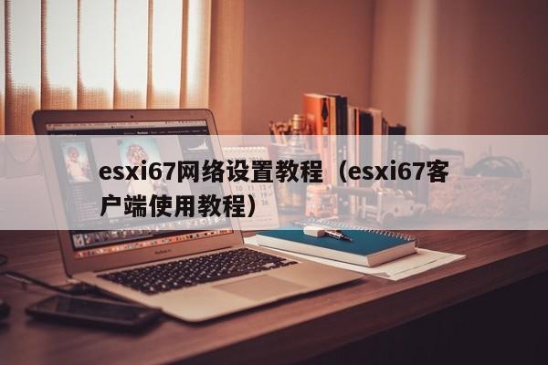esxi67网络设置教程（esxi67客户端使用教程） 