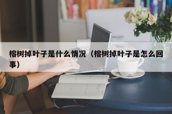 榕树掉叶子是什么情况（榕树掉叶子是怎么回事） 