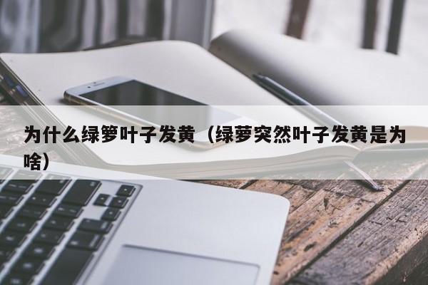 为什么绿箩叶子发黄（绿萝突然叶子发黄是为啥） 