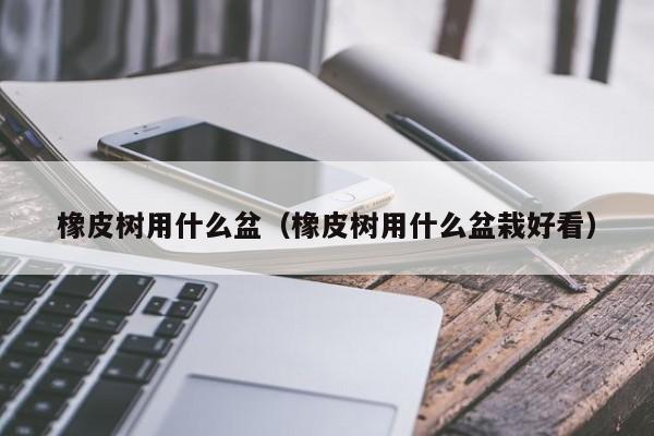 橡皮树用什么盆（橡皮树用什么盆栽好看） 