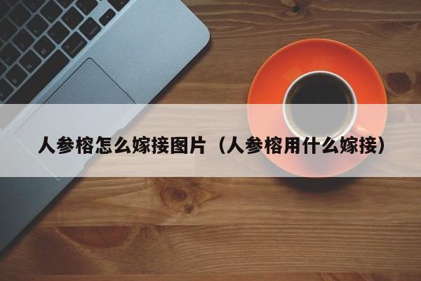 人参榕怎么嫁接图片（人参榕用什么嫁接） 