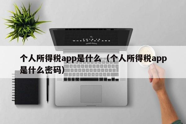 个人所得税app是什么（个人所得税app是什么密码） 