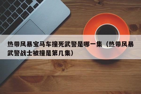 热带风暴宝马车撞死武警是哪一集（热带风暴武警战士被撞是第几集） 