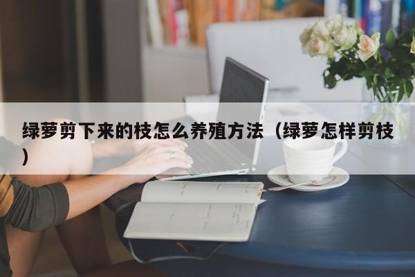 绿萝剪下来的枝怎么养殖方法（绿萝怎样剪枝） 