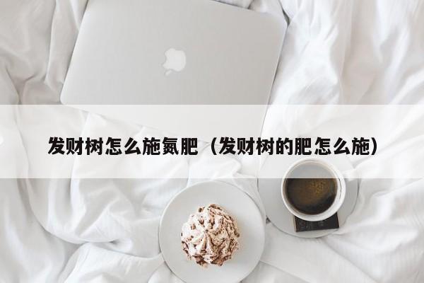 发财树怎么施氮肥（发财树的肥怎么施） 