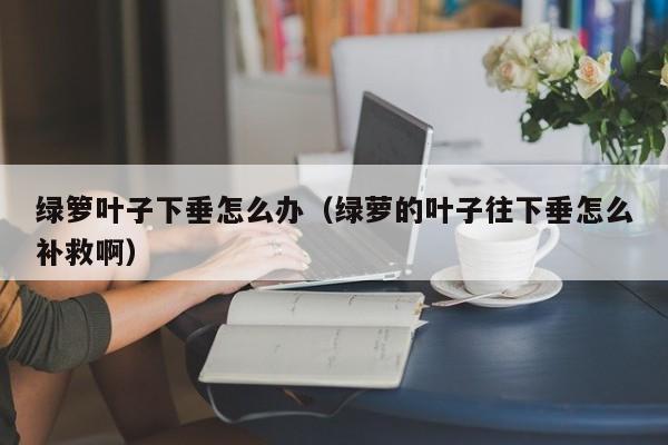 绿箩叶子下垂怎么办（绿萝的叶子往下垂怎么补救啊） 