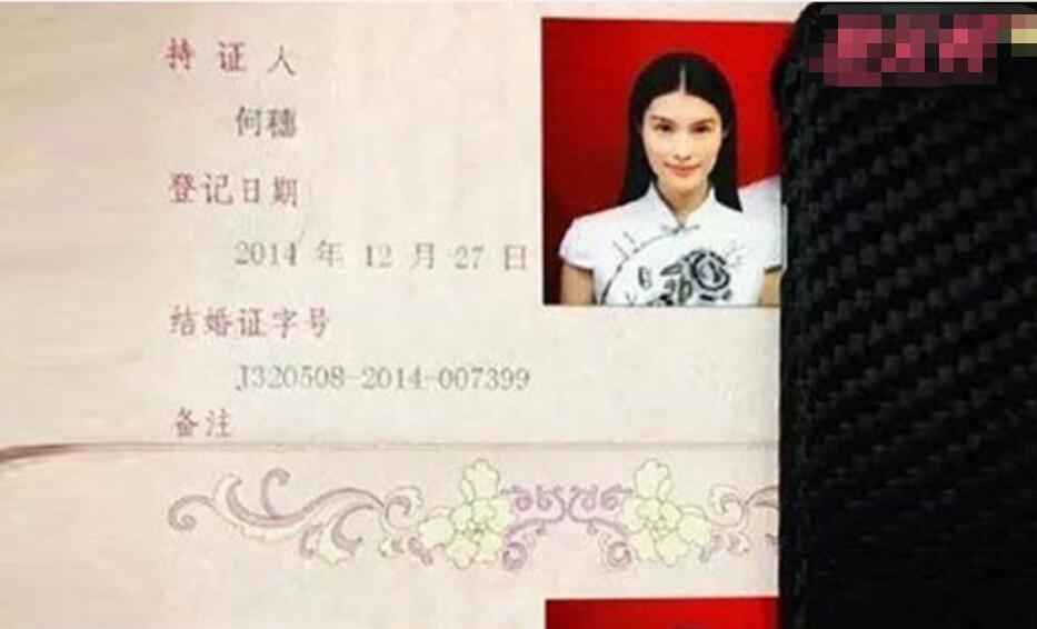 何穗老公是谁为何闪婚闪离(何穗结过婚是真的吗)