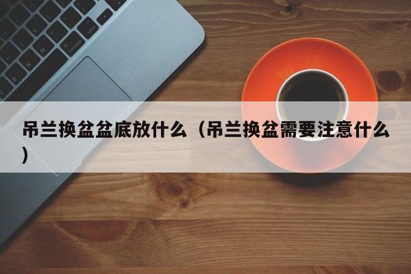 吊兰换盆盆底放什么（吊兰换盆需要注意什么） 