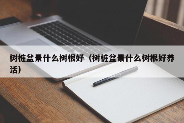 树桩盆景什么树根好（树桩盆景什么树根好养活） 