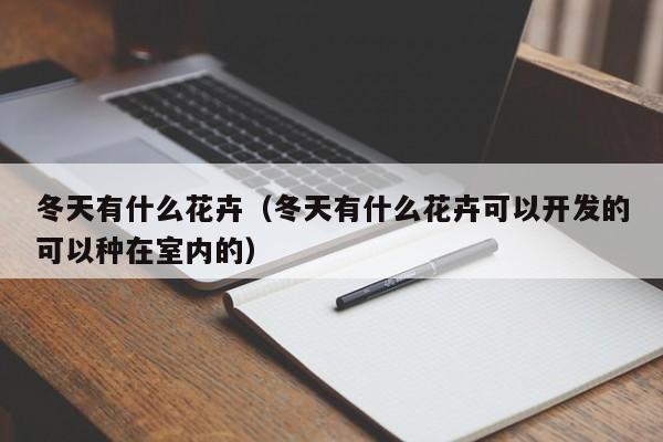 冬天有什么花卉（冬天有什么花卉可以开发的可以种在室内的） 