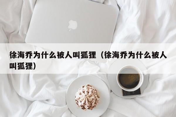 徐海乔为什么被人叫狐狸（徐海乔为什么被人叫狐狸） 