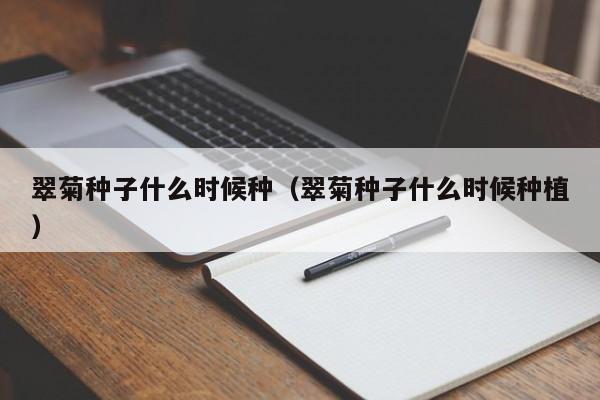 翠菊种子什么时候种（翠菊种子什么时候种植） 